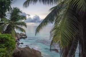 Read more about the article The Joy of Living a Tropical Beach Lifestyle