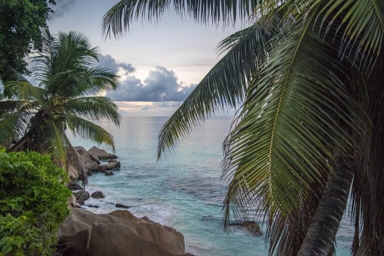 The Joy of Living a Tropical Beach Lifestyle