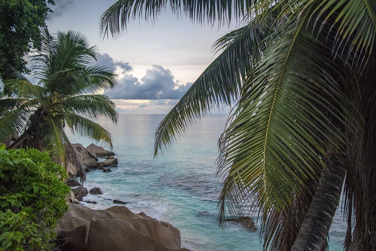 You are currently viewing The Joy of Living a Tropical Beach Lifestyle